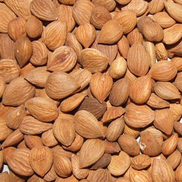 Meruňková semínka autentická chuť - Afghánistán | 500 gramů Apricot Kernels | Authentic Taste