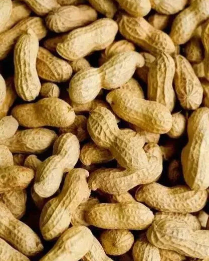 Authentic Afghan Roasted Peanuts Moongphali 400 g