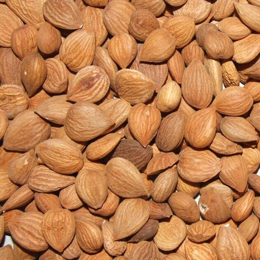 Meruňková semínka autentická chuť - Afghánistán | 500 gramů Apricot Kernels | Authentic Taste