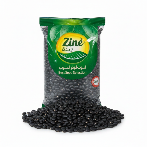 Zine Black Beans Hero Image