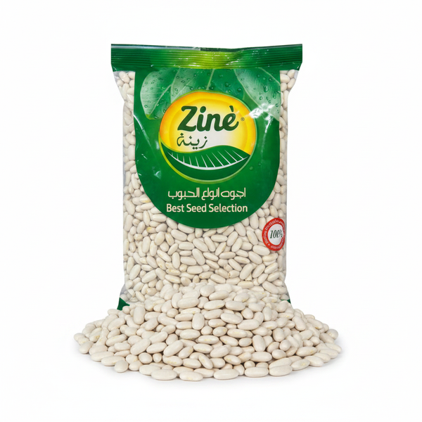 Zine White Beans Hero Image